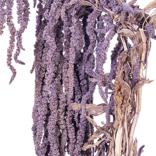 Vickerman 1620 Natural Dried Lavender Amaranthus Bundle，3.5 oz.