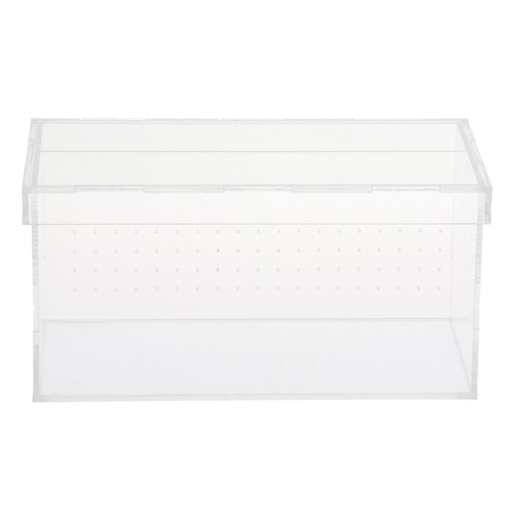 Acrylic Reptile Feeding Tank for Spiders Breeding Box