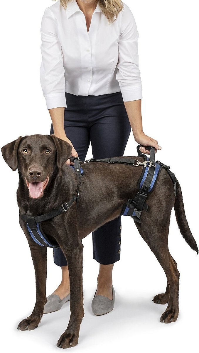 PetSafe CareLift Handicapped Support Dog Harness