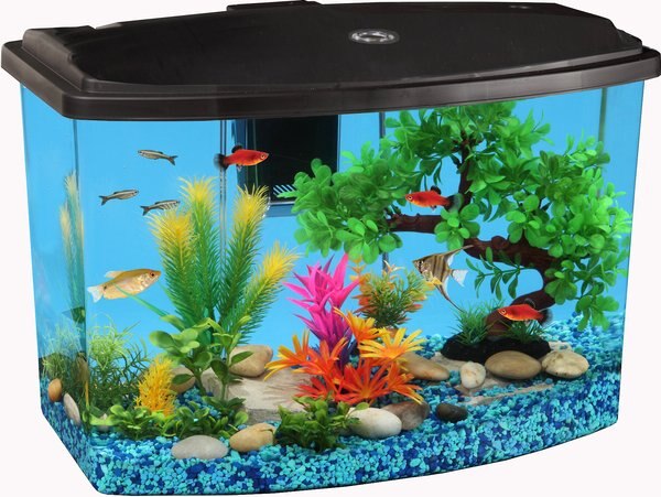 Koller Products Smart Tank Fish Aquarium， 7-gal