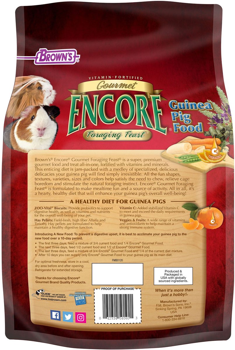 Brown's Encore Gourmet Foraging Feast Guinea Pig Food