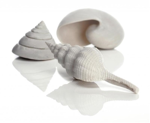 BO00666 BiOrb Sea Shells