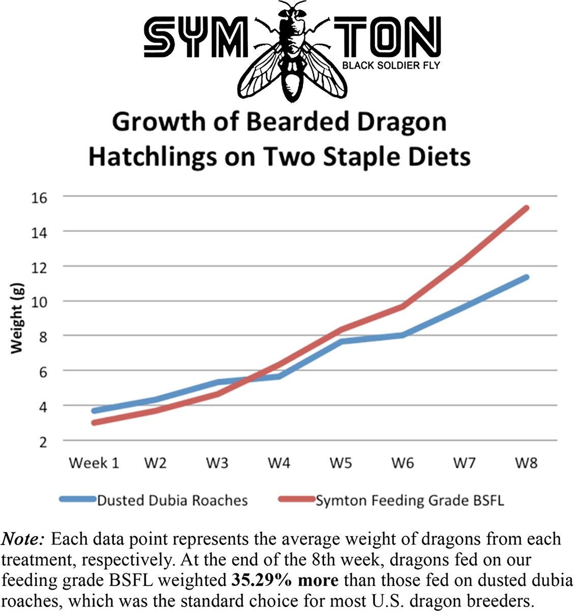 Symton Small Live Black Soldier Fly Larvae Lizard Food