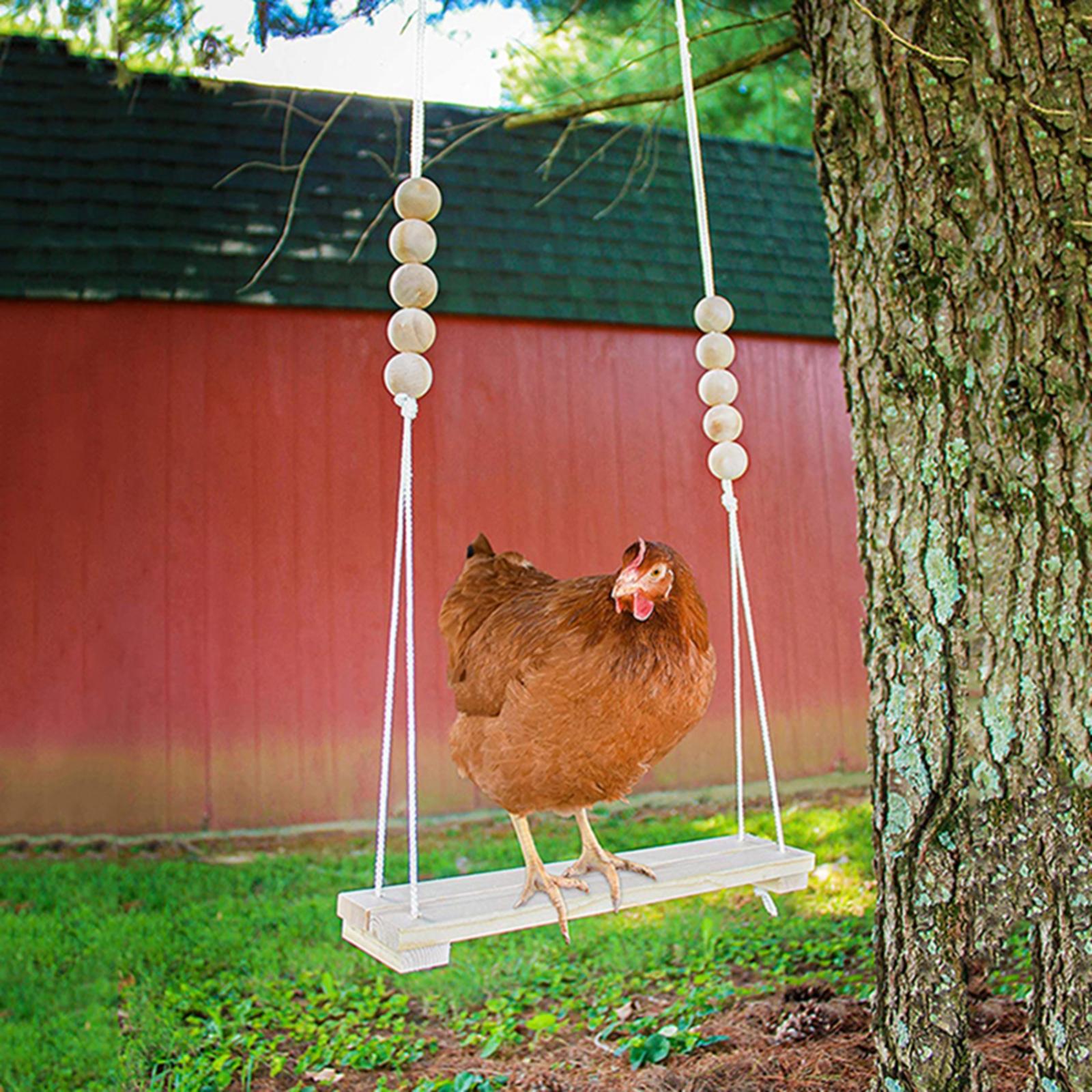 Wooden Chicken Swing Chicken Toys Chicken Coop Toys Birds Parrots Perch Exercise