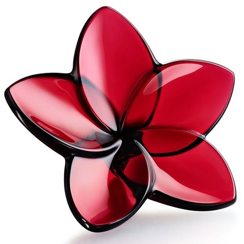 Baccarat Bloom Flower  Red