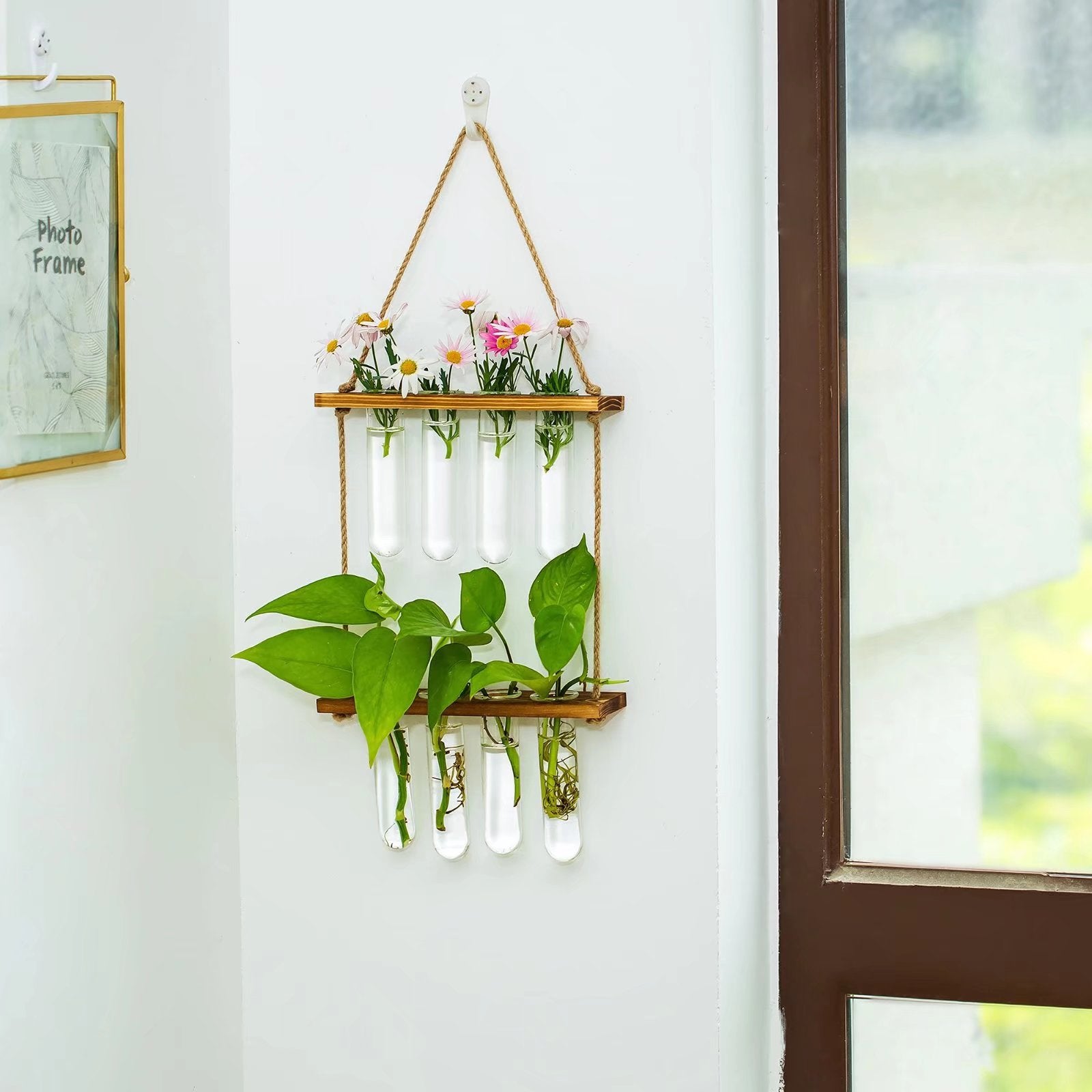 Glasseam Glass Plant Terrarium Hanging Wall Propagation Station Brown