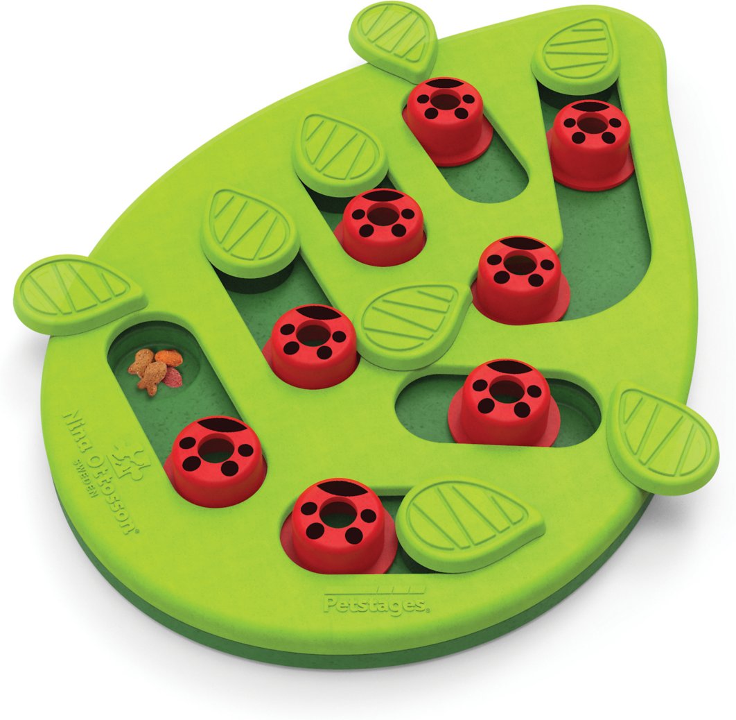 Petstages Buggin' Out Puzzle and Play Cat Toy