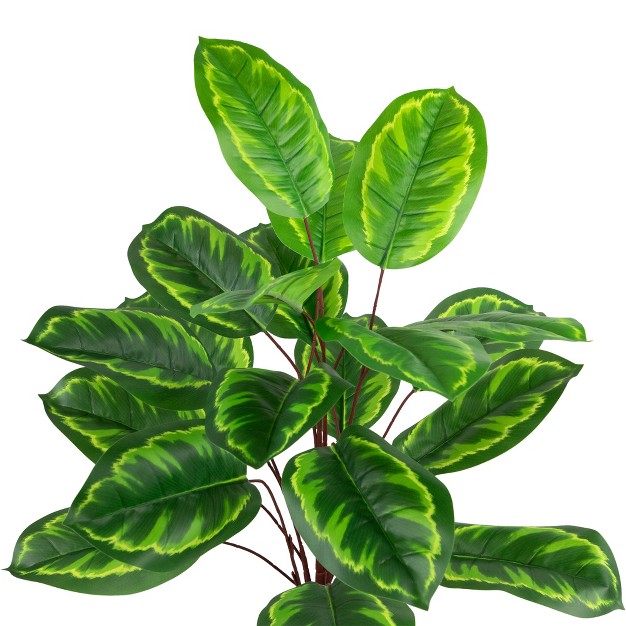 Two tone Green Calathea Artificial Potted Plant