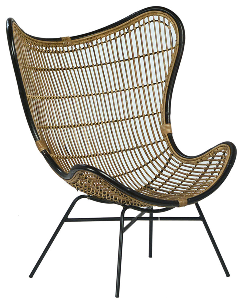 Bamboo  ampBlack Scoop Chair   Tropical   Outdoor Lounge Chairs   by Design Mix Furniture  Houzz