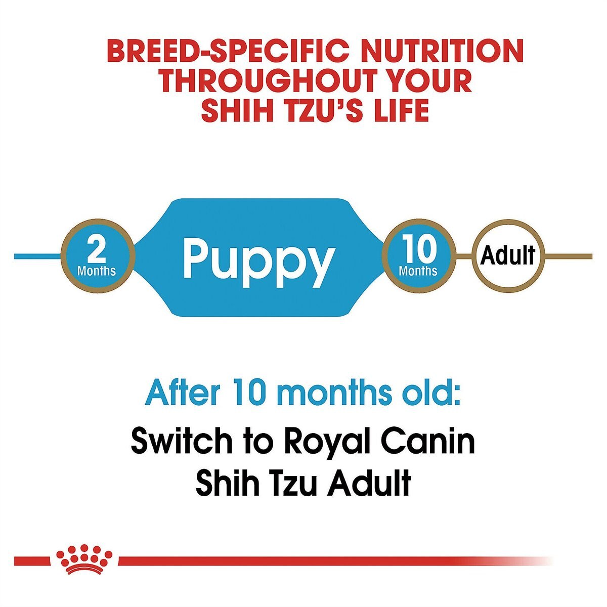 Royal Canin Breed Health Nutrition Shih Tzu Puppy Dry Dog Food