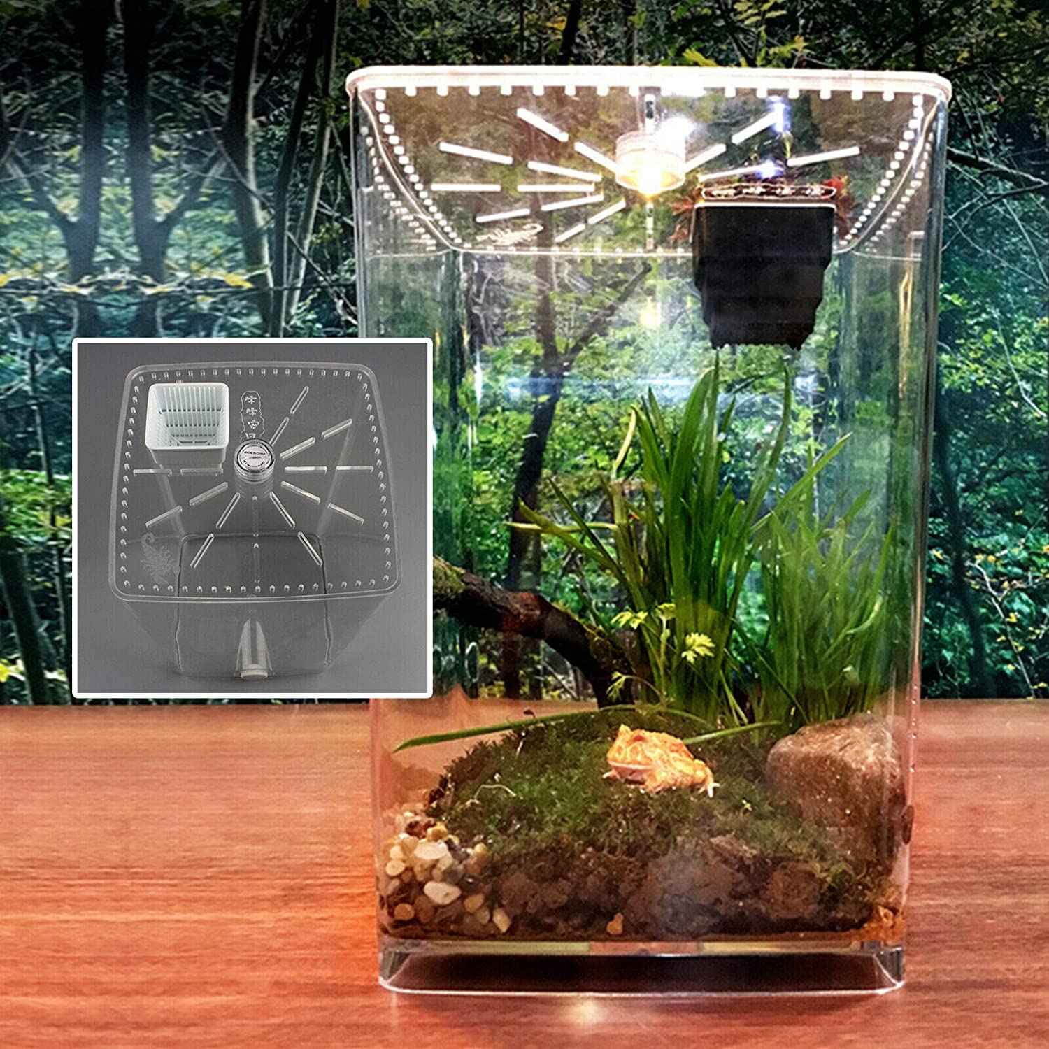 Acrylic Enclosure Terrarium Supplies for Tarantula Scorpion Reptile Tank 29.5cm