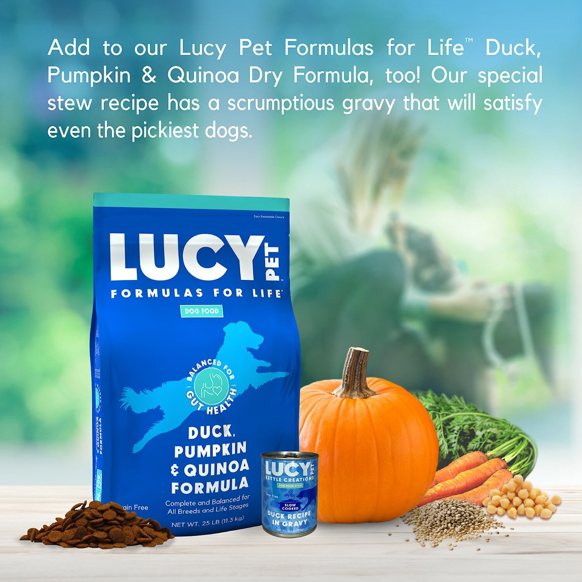 Lucy Pet Products Kettle Creations Duck Recipe in Gravy Wet Dog Food， 12.5-oz can， case of 12