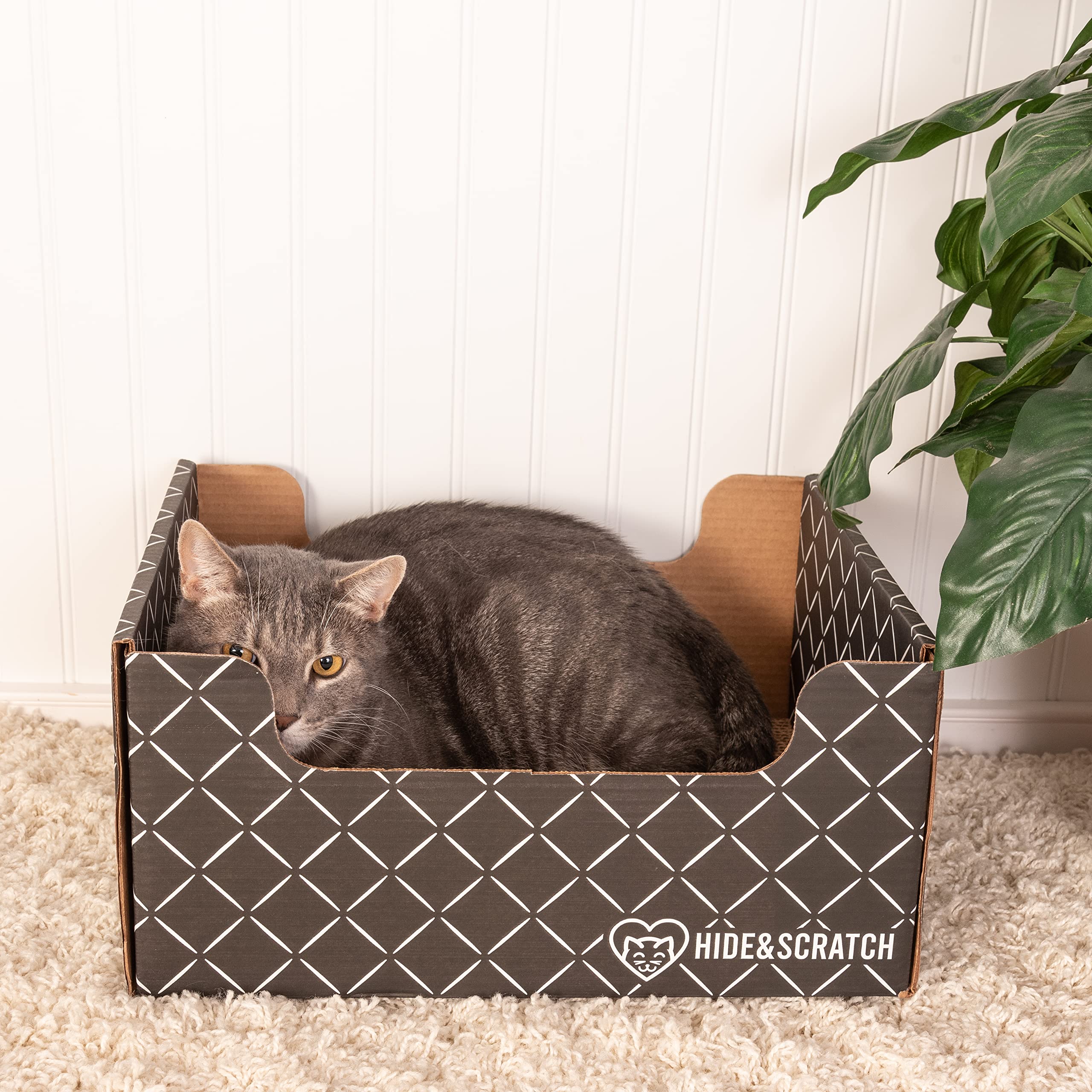 Hide and Scratch: Extra-Large Heavy Duty Cardboard Cat Scratcher and Lounger Box with Refillable Scratch Pad - Multiple Colors