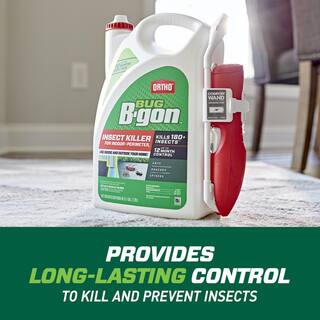 Ortho 1 Gal. Wand Bgon Indoor Insect 022370505