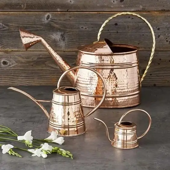 Super Sale New Design Water Can Durable With Gold Plated Fineshed Metal Watering Can In Elegant For Home Garden Lawn Plan