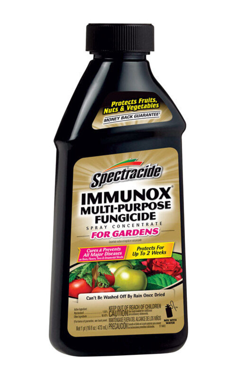 IMMUNOX FUNGICIDE 16OZ