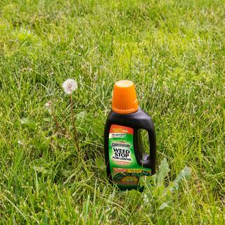 Spectracide Weed Stop 32 oz. Concentrate Plus Crabgrass Killer HG-96393-1