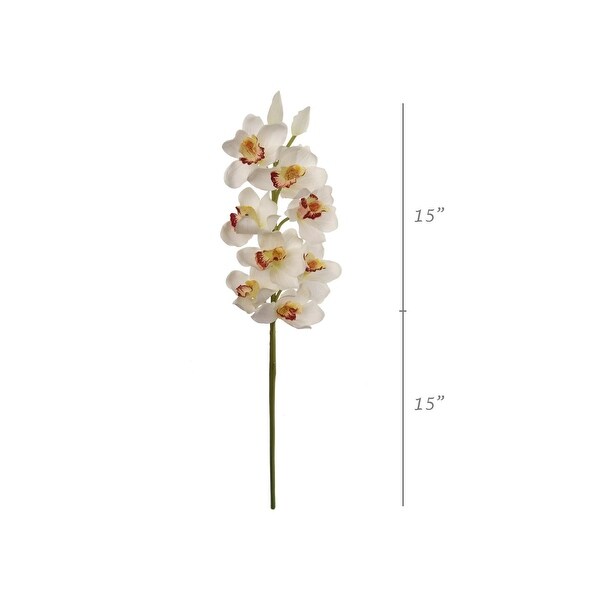 30 Cymbidium Orchid White