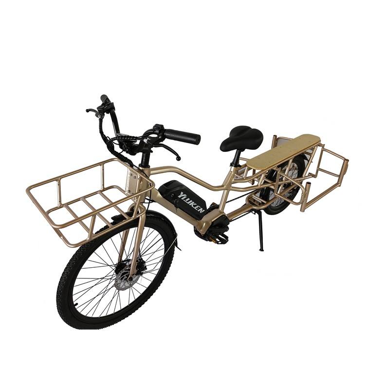 electric cycling bike 250W mid drive long trail electric bike 36V 13Ah battery electric cargo bike for sale