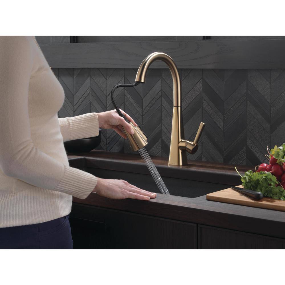 Delta Lenta Single-Handle Pull-Down Sprayer Kitchen Faucet with ShieldSpray Technology in Champagne Bronze 19802Z-CZ-DST