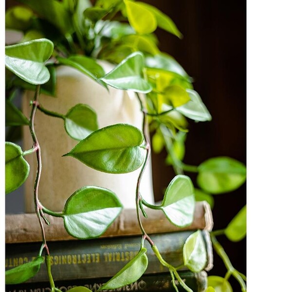 RusticReach Artificial Devil's Ivy Plant in White Pot