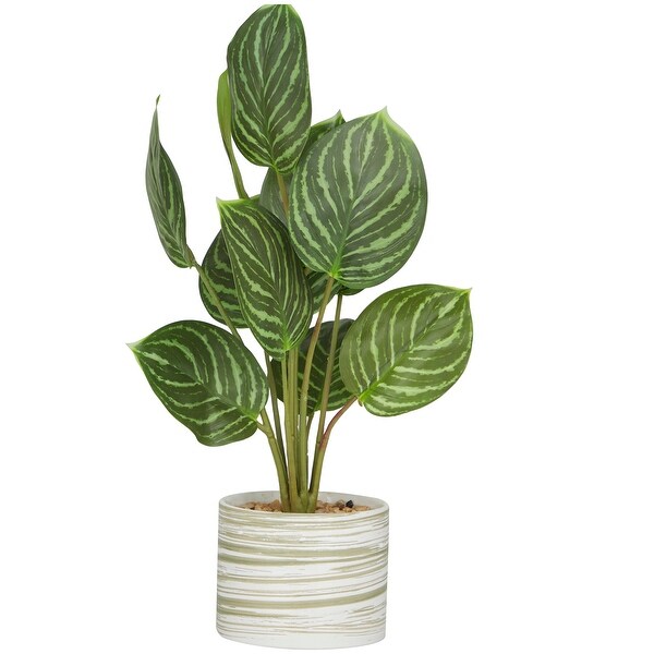 The Novogratz Green Faux Foliage Calathea Artificial Plant with Realistic Leaves and Patterned Porcelain Pot