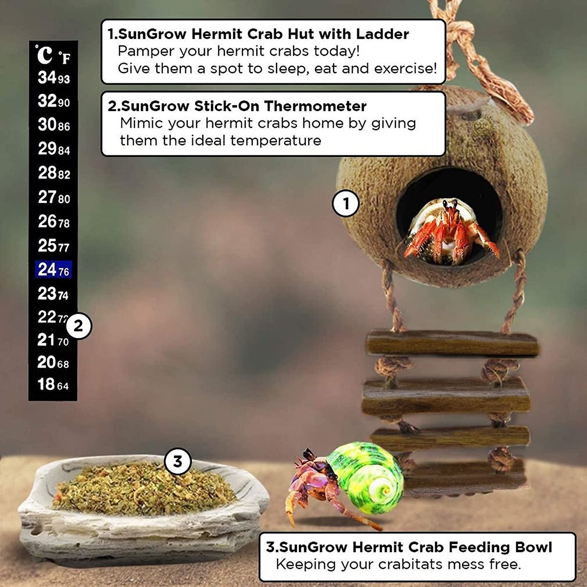 SunGrow Hermit Crab Coconut Climbing Habitat and Hideaway Cage w/ Ladder， Natural