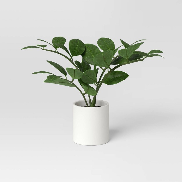 Small Tabletop Zz Artificial Plant