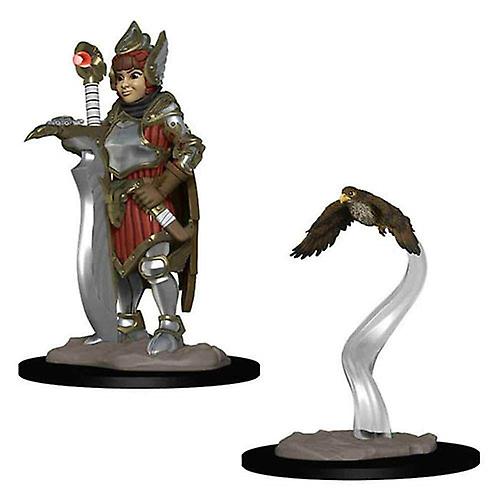 Wardlings Girl Fighter and Hunting Falcon Pre-Painted Minis