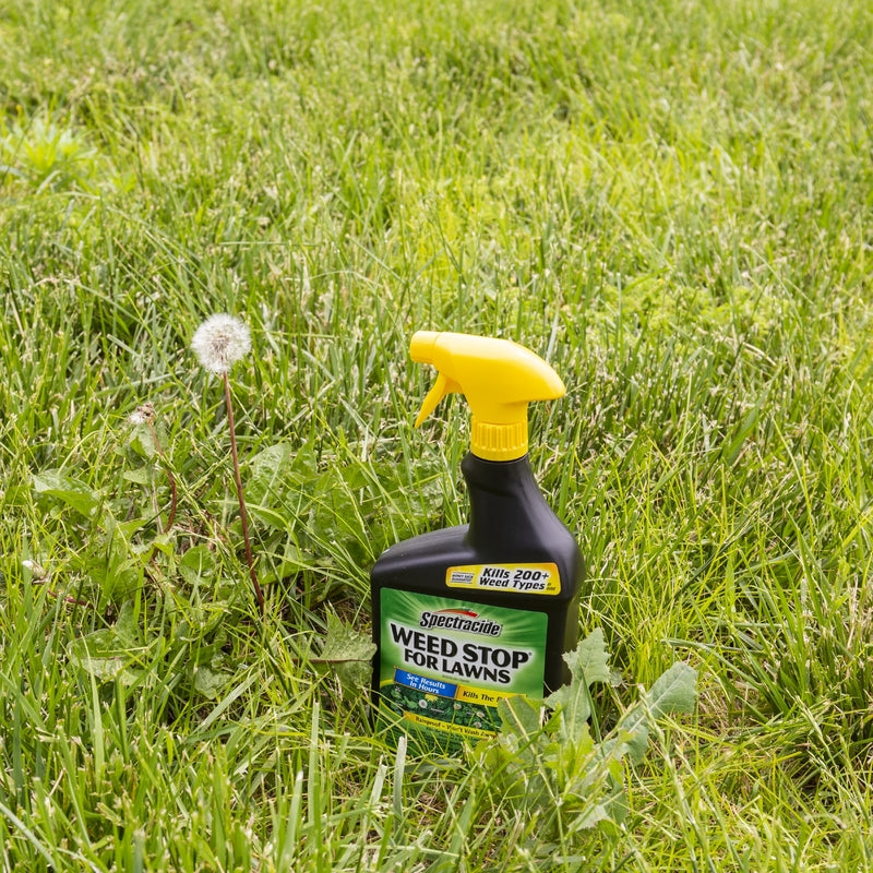 WEEDSTOP LAWN 32OZ RTU