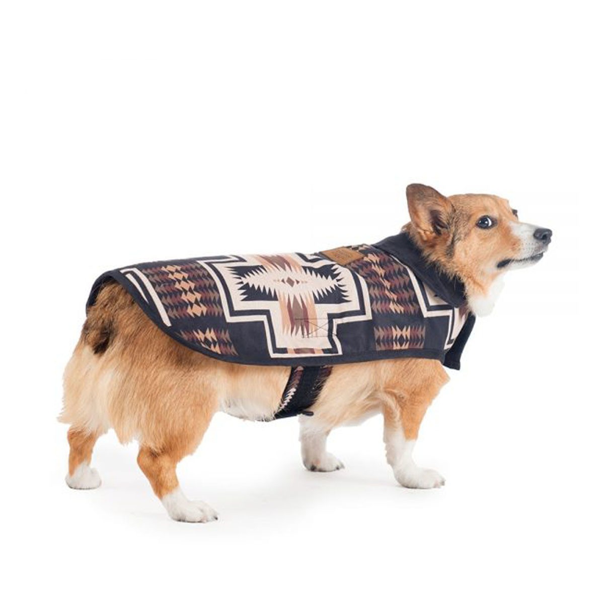 Pendleton Harding Dog Coat