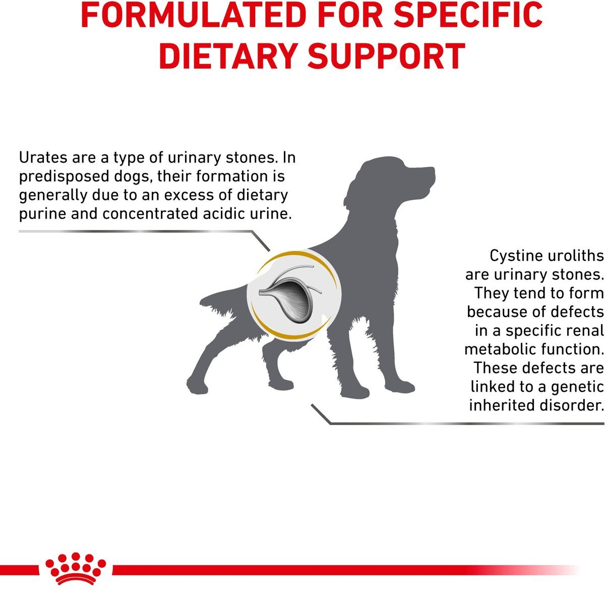 Royal Canin Veterinary Diet Adult Urinary UC Dry Dog Food