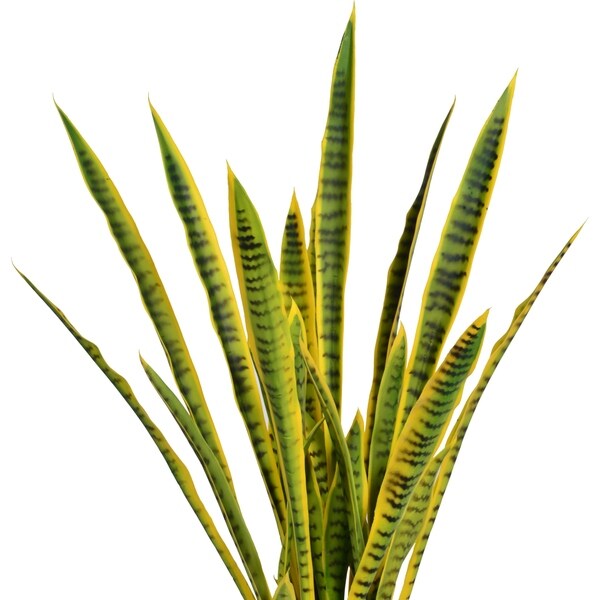 58.25 Tall Snake Plant (Sansevieria) Artificial Lifelike Faux in Resin Planter