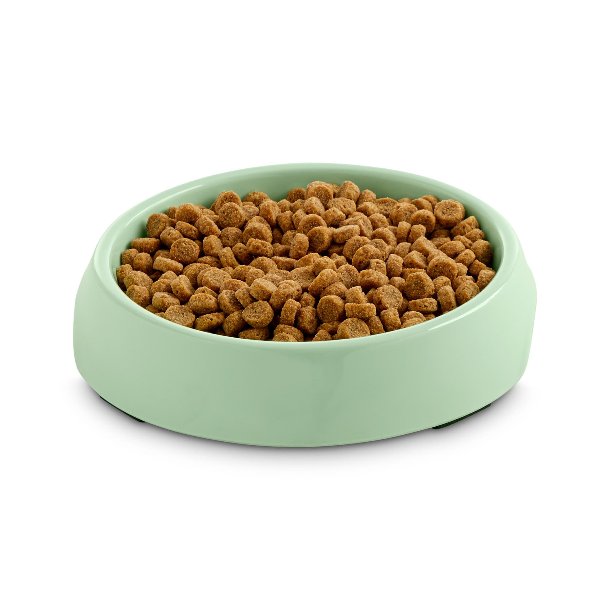 Harmony Mint Single Cat Bowl Base， 3/4 Cup