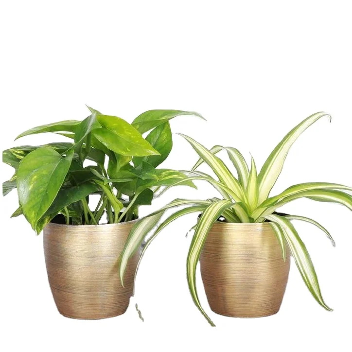 Living Room Metal Planters for Garden Home Decorative Plant Custom Shape Flower Pot Luxury Floor Planter