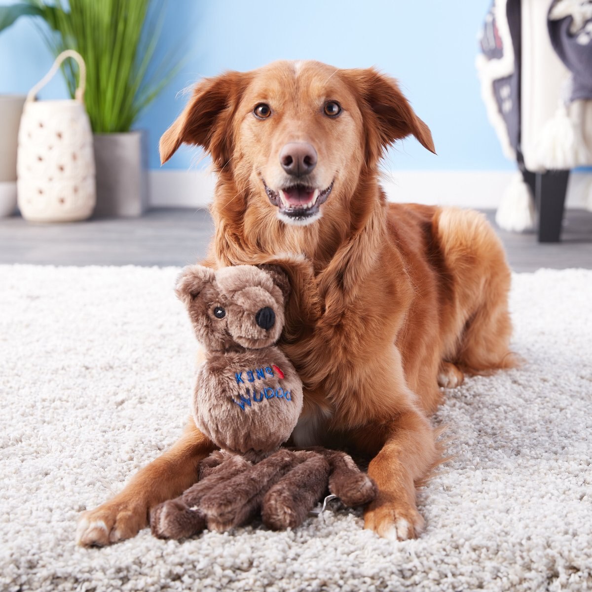 KONG Wubba Friend Dog Toy， Character Varies