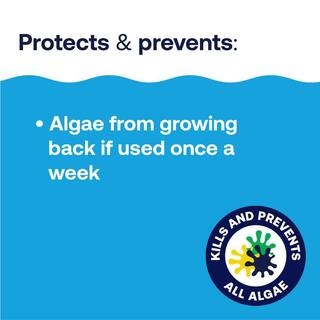 HTH 1 Qt. Pool Care Algaecide -Algae Guard Advanced 67084