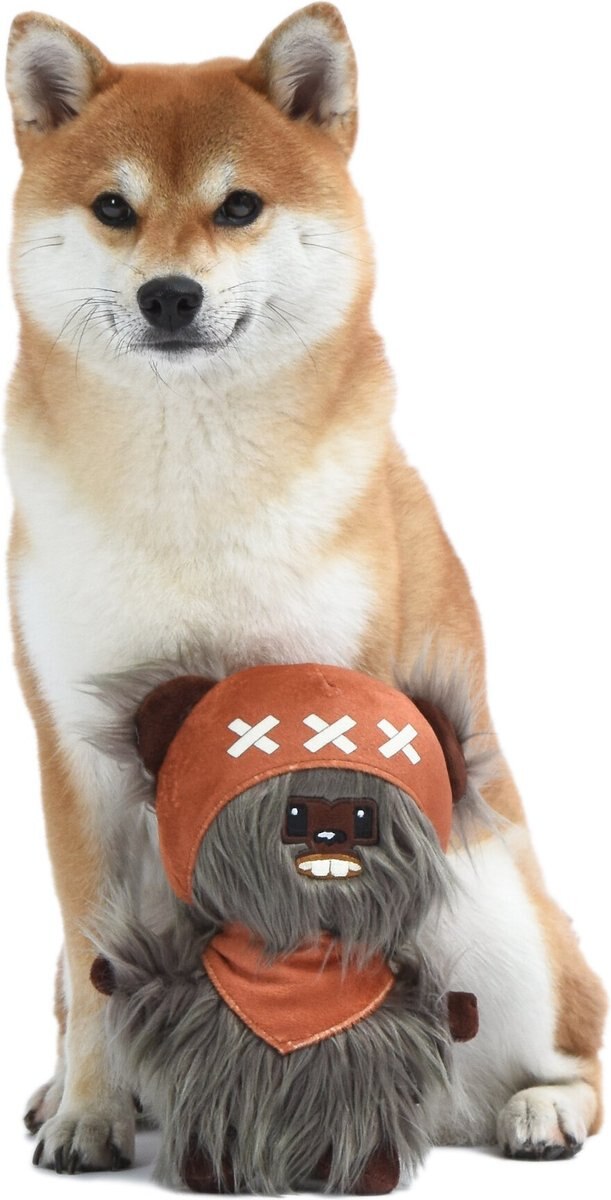 Fetch For Pets Star Wars: Ewok Squeaky Plush Dog Toy