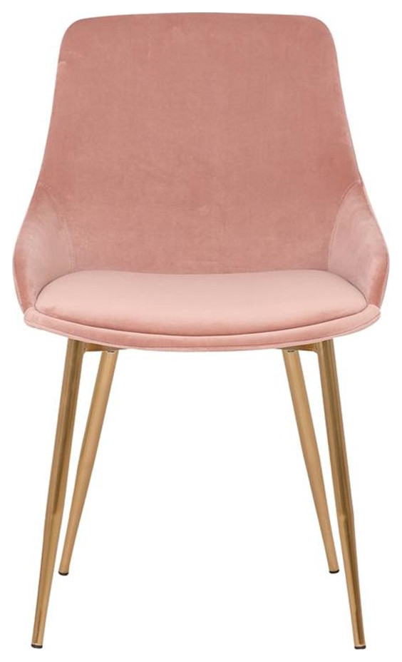 Heidi Velvet Dining Accent Chair   Dining Chairs   by Homesquare  Houzz