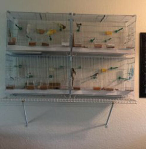 Lot of 4 of Stack and Lock Double Breeding Breeder Flight Bird Quail Aviary Canary Finches Cage with Center Wire and Solid Dividers Side Breeding Nest Doors