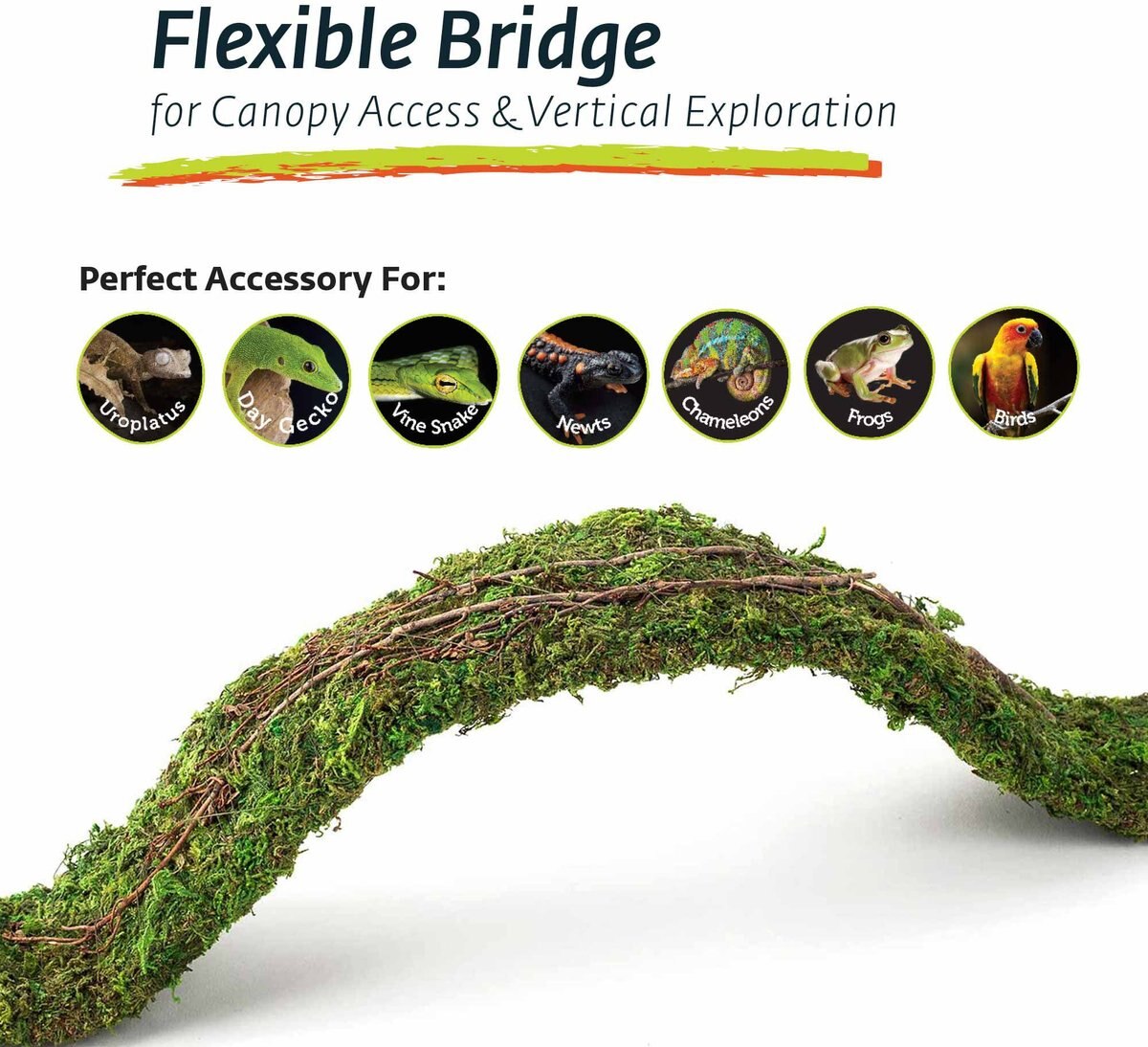 Galapagos Flexible Bridge Terrarium Ornament， Fresh Green