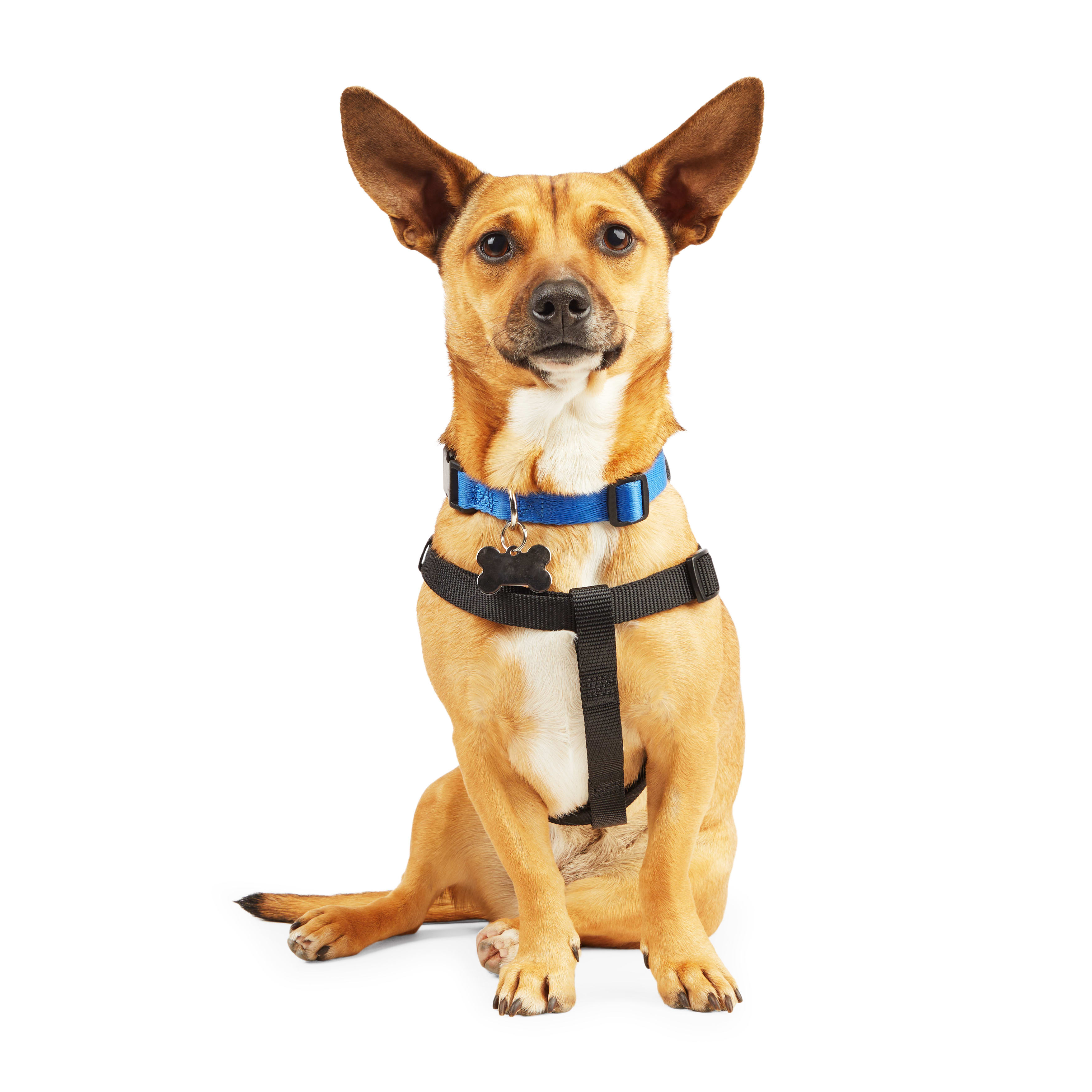 YOULY Black Dog Harness， X-Small