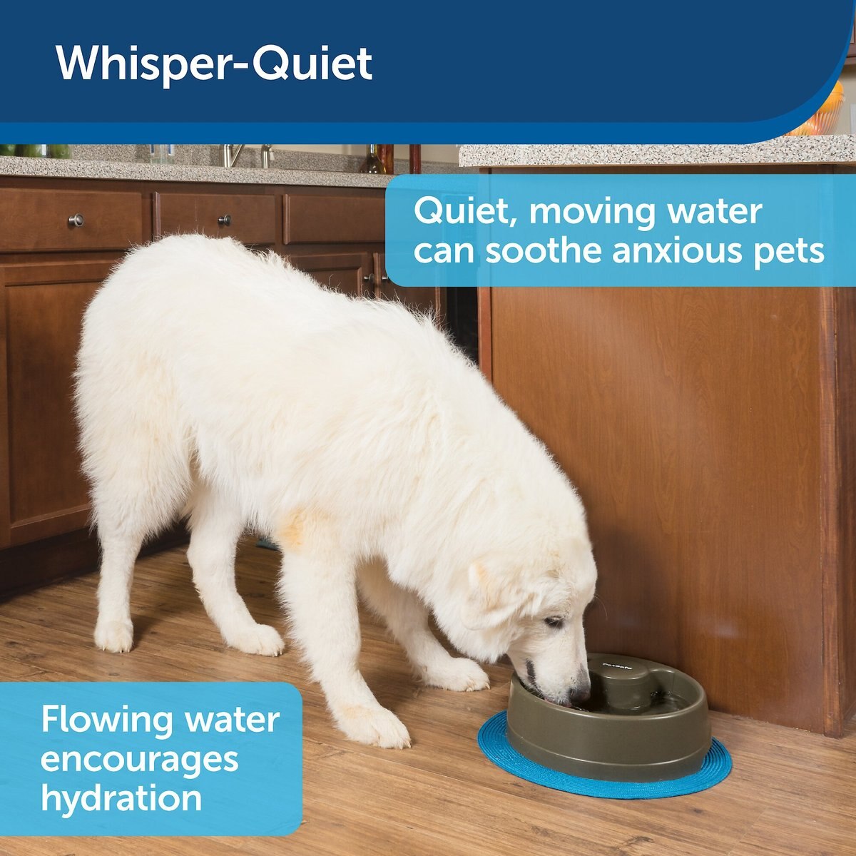 PetSafe Current Circulating Pet Fountain