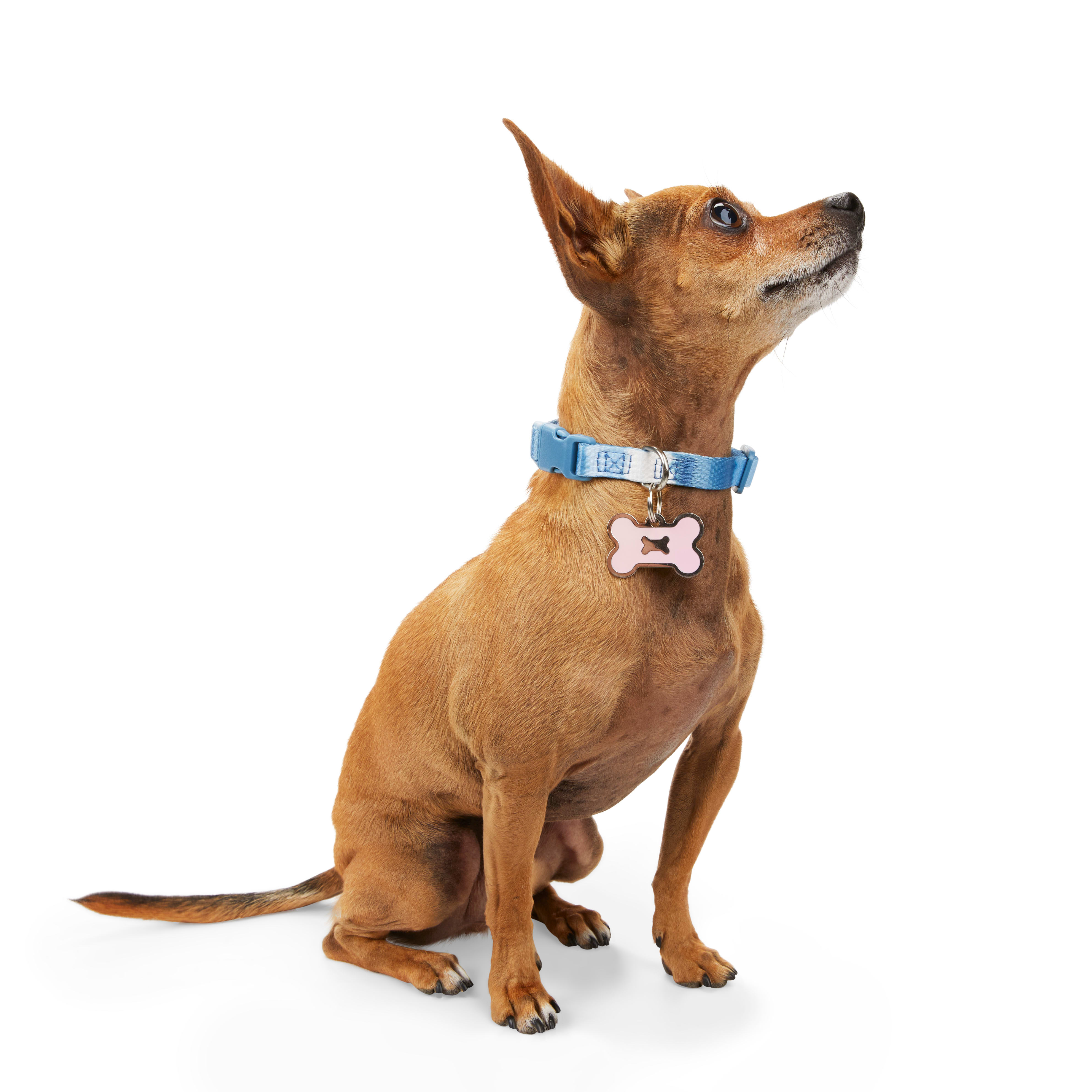 YOULY The Artist Blue Striped Small Dog Collar， XX-Small/X-Small