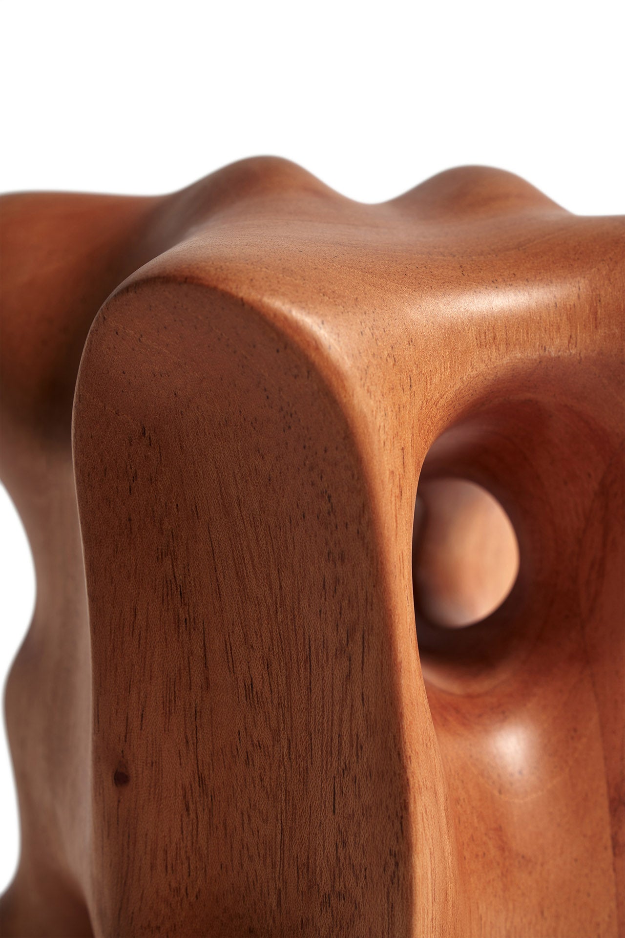 Mahogany Natural Organic Sculpture