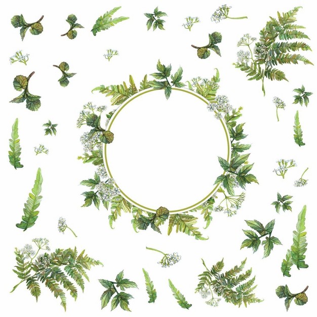 Fern Peel And Stick Decal With Circle Mirror Roommates