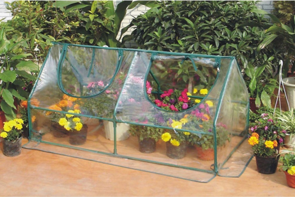 Garden Cold Frame Greenhouse Cloche   Transitional   Greenhouses   by Zenport Industries  Houzz