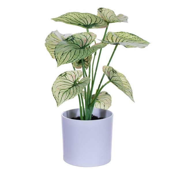 Vickerman 11.5 Artificial Light Green Variegated Leaves in Pot. Includes two pieces per bag.