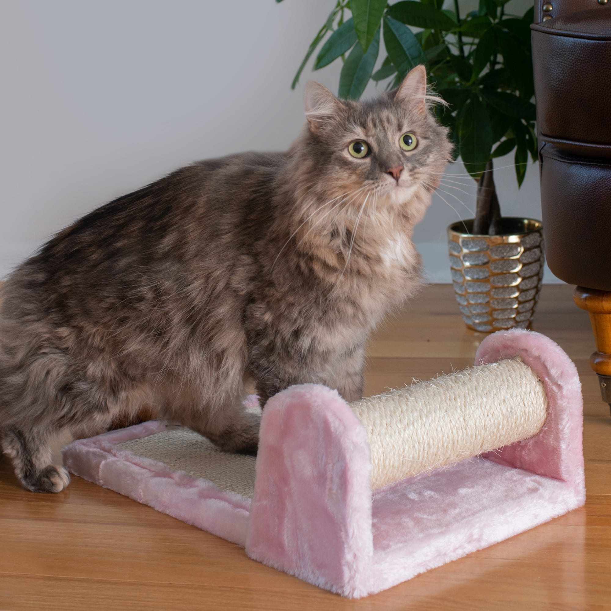 Armarkat Premium Pink Rolling Real Wood Scratcher with Toy for Cats， Medium