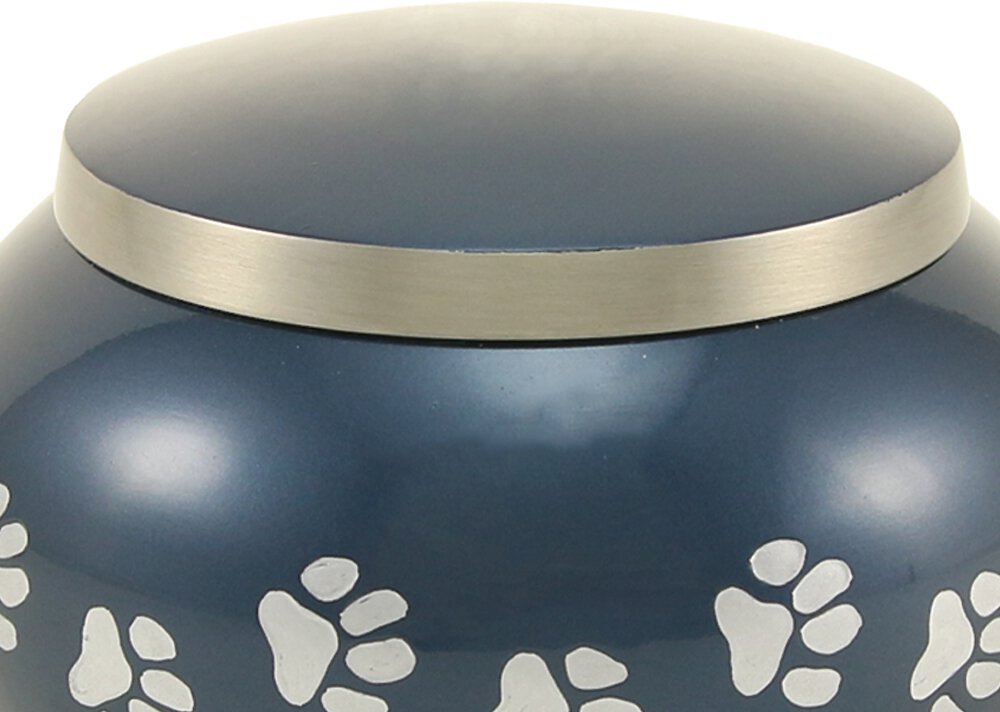 A Pet's Life Odyssey Personalized Dog and Cat Urn